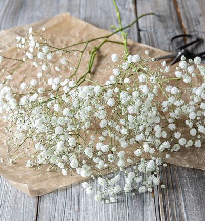 Fairtrade brudeslør Fairtrade brudeslør